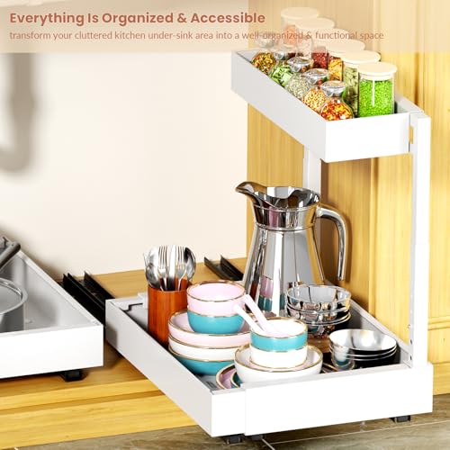 Maywise Organizador Expandible de 2 Niveles para Debajo del Fregadero
