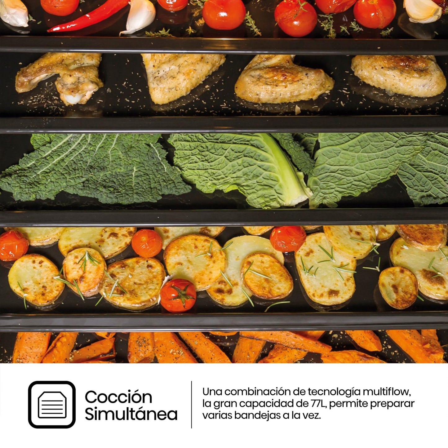 Hisense BI62216AXE2 Horno Hidrolítico