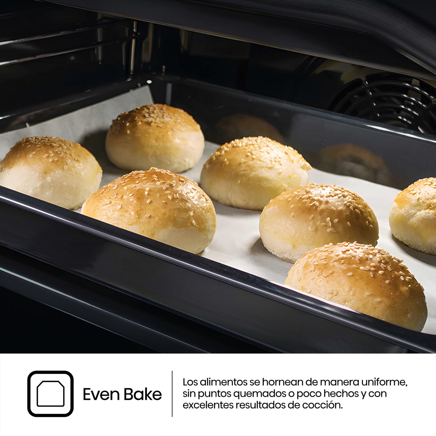 Hisense BI62216AXE2 Horno Hidrolítico